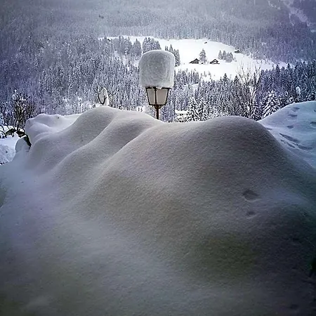 Herzen's Hirschegg Rein