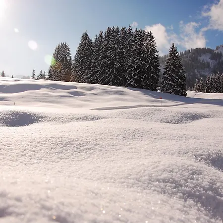 호텔 Herzen's Hirschegg (Vorarlberg)